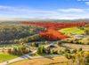 56 Old Mars Hill Hwy photo